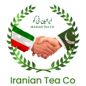 LOGO1 itT